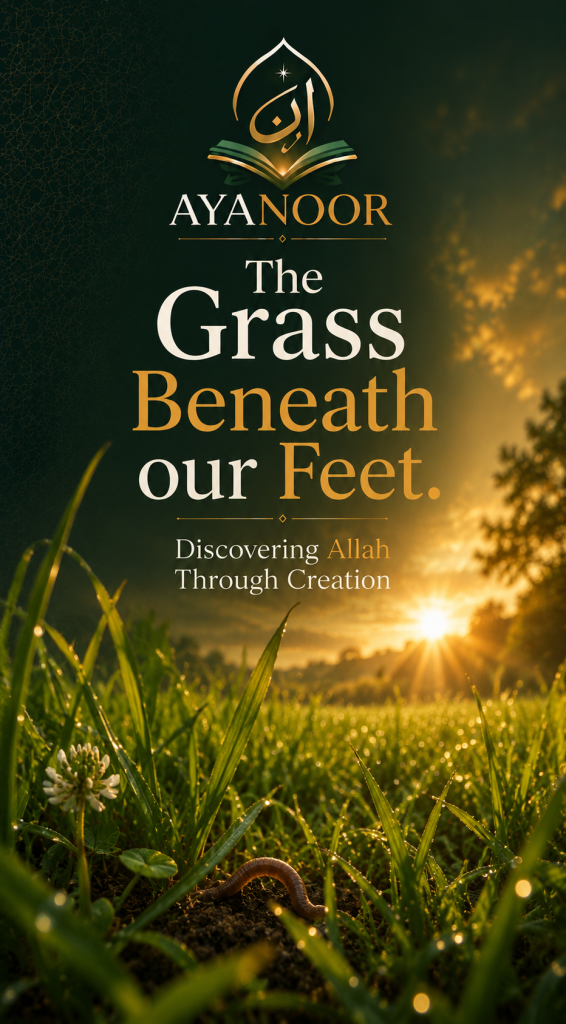 The Grass Beneath our Feet